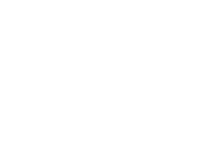 BCI_LOGO_BLANCO